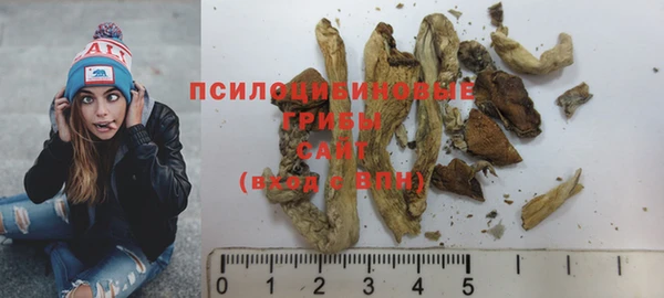 сатива Бронницы