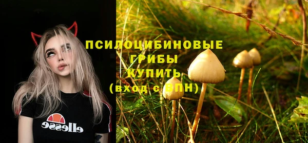 бошки Верхний Тагил