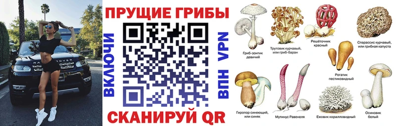Купить где  Ленинск-Кузнецкий  Галлюциногенные грибы мицелий 